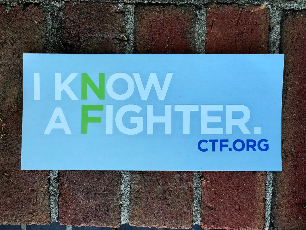 I Know a Fighter Vinyl Decal - image4