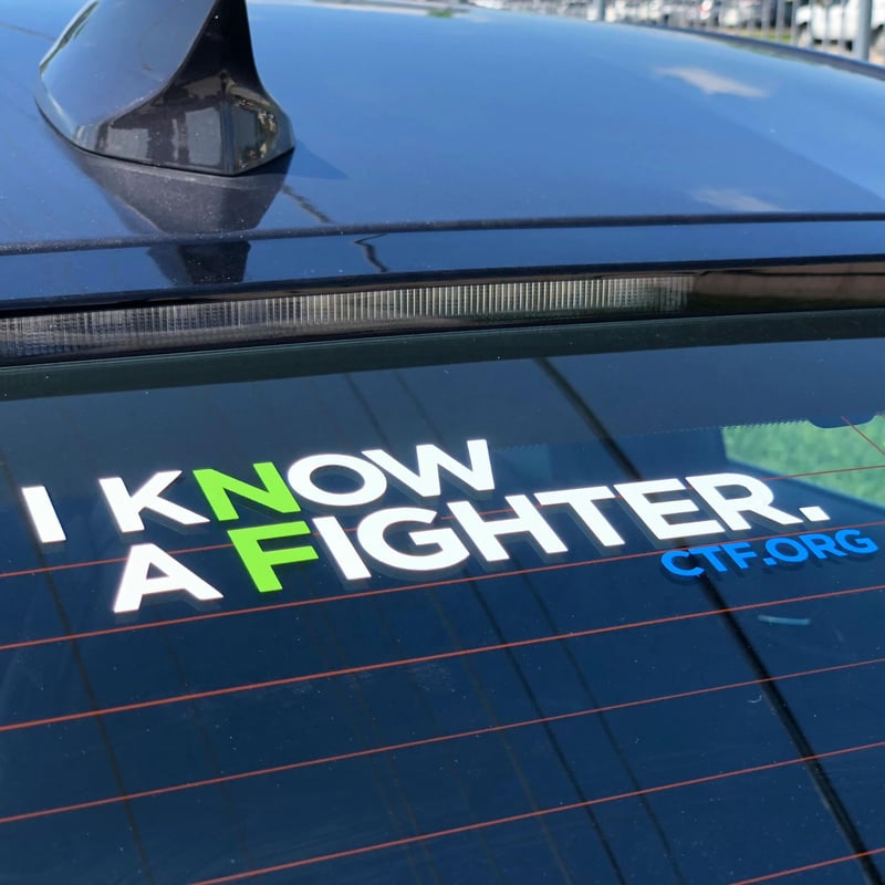 I Know a Fighter Vinyl Decal - image1