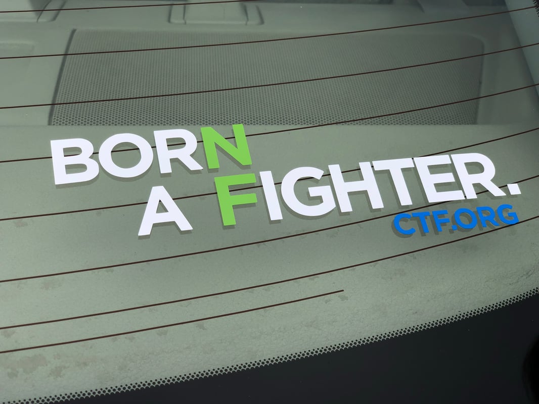 Born A Fighter Vinyl Decal - image3